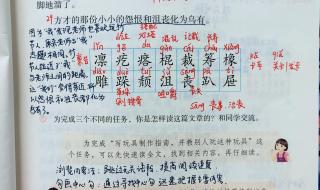 6年级语文书