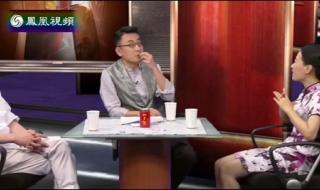 锵锵三人行2014