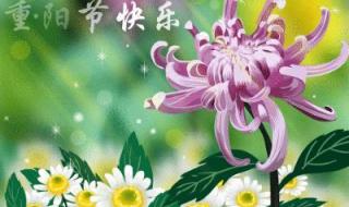 重阳节快乐合适吗